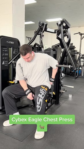Cybex Eagle Chest Press: Optimal Arm Position Training