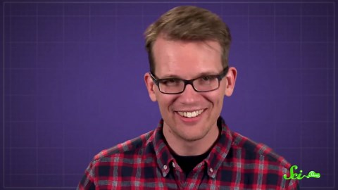 Why do bruises change colors?