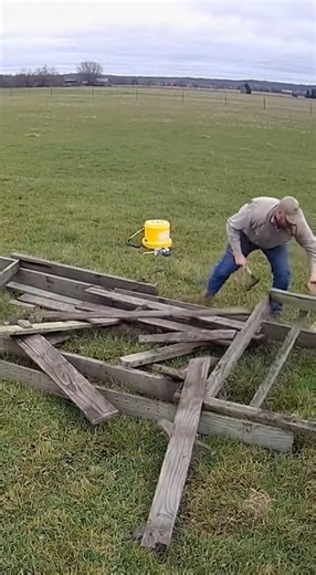 The farmer is hammering calmly when the massive black-and-white bull explodes forward, ramming him into the trough. Wood shatters, dust flies, and chaos takes over instantly. #FarmDrama #BullCharge #UnexpectedMoments #SecurityCamFootage #RealFarmLife #OMGReels | Natural TV