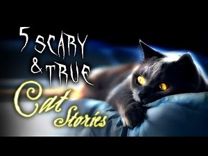 5 Scary & True CAT Stories That Will Leave You Unsettled