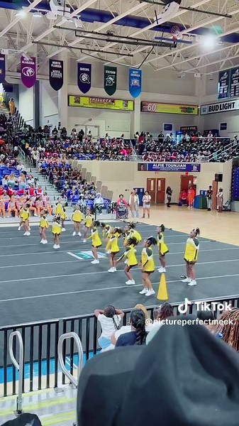 PicturePerfectMeek on TikTok