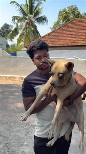 Don't blame fate, this one is with me now😇 #dogrescue #dog #shorts