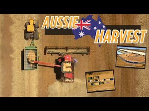 Western Australia's Golden Harvest | Massive Farming Operation