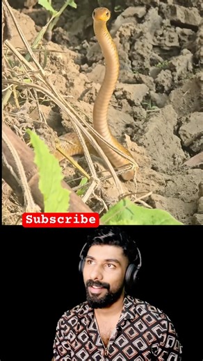 50 million🔥snake dance 🥺 #reactionchannel #comedy #reactions #funny #comedymove