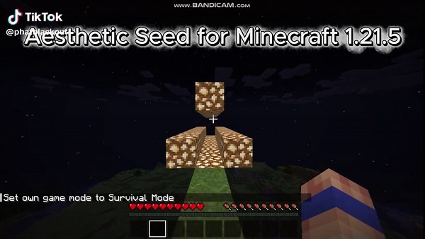 Aesthetic Seed Showcase for Minecraft 1.21.5