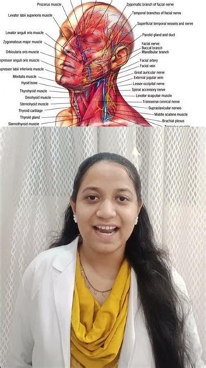 🦷 First BDS Subjects Explained | Complete Guide for BDS Students #clinic2creator