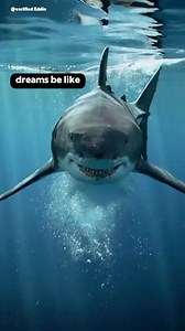 What a dream | 𝗩𝗘𝗥𝗜𝗙𝗜𝗘𝗗 𝗘𝗗𝗗𝗜𝗘