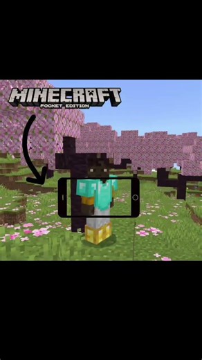 DIFFERENCE BETWEEN MINECRAFT JAVA EDITION, BEDROCK EDITION AND POCKET EDITION #strangerthings5