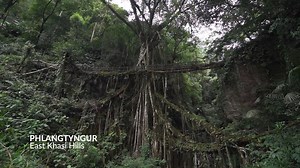 One of Meghalaya’s most eye-catching wonders are its living root bridges. Watch how these surreal structures are carefully shaped over many years, and how they ease the life of locals and tourists who commute across the state’s beautiful, rugged landscapes. #Partnered | News18