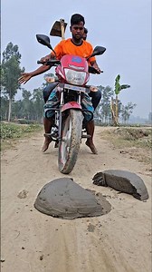 Cow dung in the middle of the road.