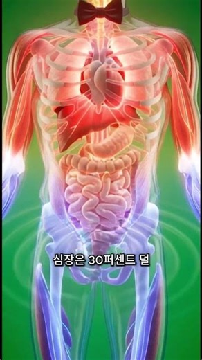지금 당장 '내 몸 건강 초기화' 시작하는 법