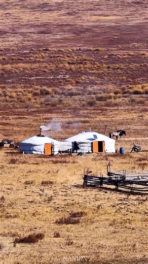 1.4K views | Mongolia  | Flower tour & Travel Agency | Facebook