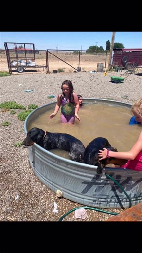 one_eyed_jack1 (@one_eyed_jack1)’s videos with Step by Step - Brandon Davis