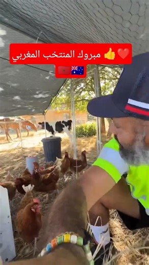 مبروك المنتخب المغربي 👍❤️🇲🇦🇦🇺