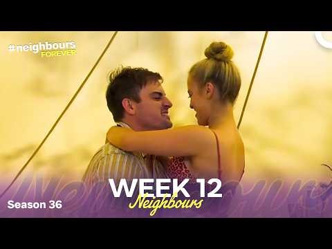 WEEK 12 | Episodes 8321-8325 | Neighbours 2020 (Season 36)