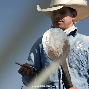 130K views · 53 reactions | Y pensar que esta planta es la responsable de crear momentos únicos con sabores legendarios  ¡Pide Tequila Campo Azul Selecto en Amazon! | Tequila Campo Azul Selecto | Facebook