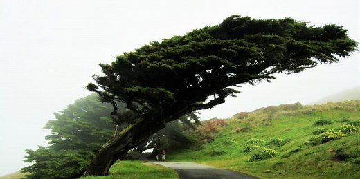 How to Measure Resilience With These 8 Scales (+PDF)