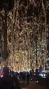 3.5K views · 57 reactions | Sendai Pageant of Starlight has started!! | Travel to Sendai, Japan | Facebook