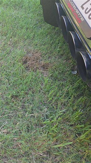 The Joker's Custom Corvette: A V8 Power Showcase