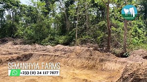 How to build a fish pond | Fish farming in Backyard | Things Needed: The long awaiting project has arrived at Semanhyia Farms and we want to share every tips and experience with you as we learn as well how to start a Fish Farm. How to Contact Fred: Schedule a time with us [Free]: https://calendly.com/semanhyiafarms/1... Schedule a time with us [Sponsors]: https://calendly.com/semanhyiafarms/2... For Quick Updates & Questions on the Farm.. WhatsApp Line: 233 24 117 7677 #FishFarming #CatFishFarmi