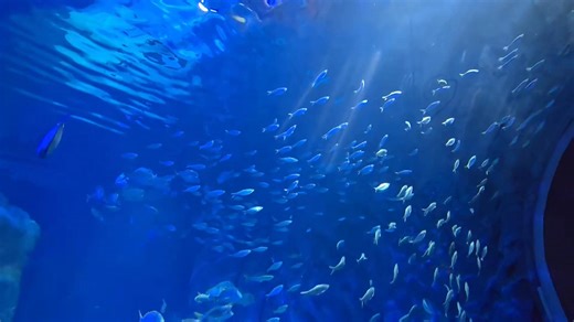 Today's Adventure Begins. | Trucker G