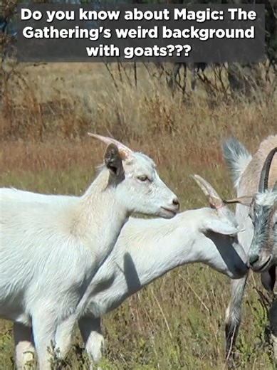 Exploring Magic: The Goatening in Magic: The Gathering