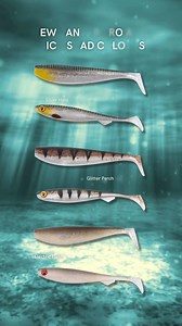 2.2K views · 42 reactions | Whether you're fishing clear waters or facing picky predators on pressured venues, these irresistible Zander Pro and Slick Shad colours are a must have in your lure box when targeting pike, perch, or zander. Add Glitter Perch, Silver Halo and Electric Flash to your lure collection. | Fox Rage | Facebook