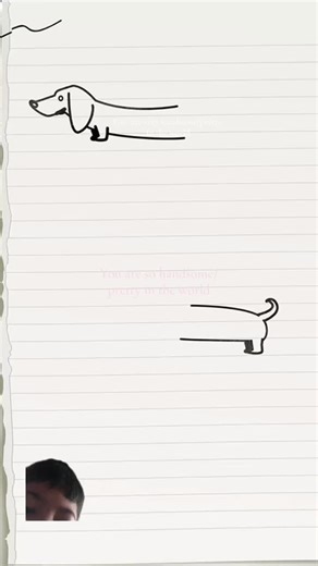 Pitot.official on TikTok