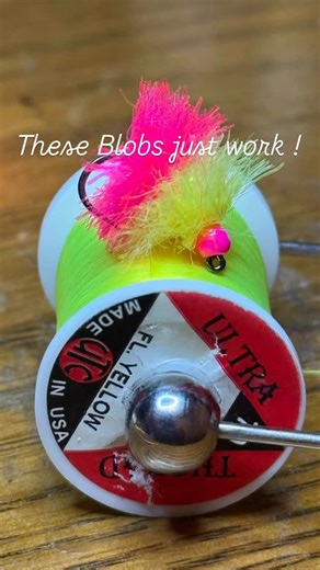 Flyguy365 | Custom Tied Flies on Instagram: "Fresh batch of blobs heading off to BC. Love them or hate them there is no denying they just work ! They are always a good searching pattern for me when flyfishing for big trout in lakes * * * #lakeflyfishing #stillwaters #flyfishalberta #flyfishbc #flyguy365flies"