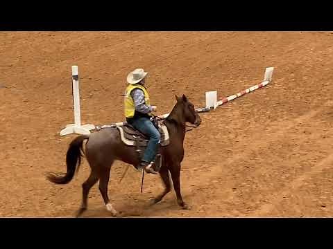 Trail Class - Forth Worth Stock Show Horse Judging Competition 2022