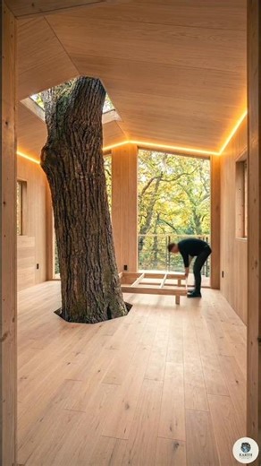 Treehouse Cabin Build: Raw Oak to Dream Home