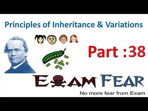 Biology Inheritance Principle part 38 (Gene & chromosomal Mutation) class 12 XII