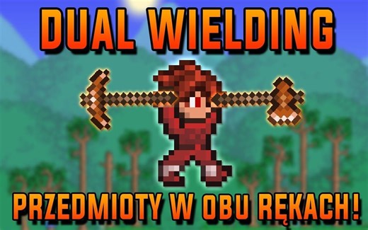 双持物品 - Terraria Mod展示 [Polish]