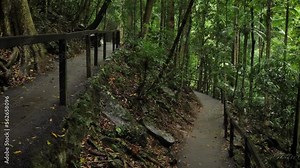 Walking trail in Natural Bridge, Springbrook National Park, Gold Coast Hinterland, Australia