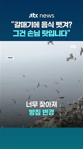 "갈매기에 음식을 뺏겨? 그건 손님 탓" 영국 식당 안내문 논란 #JTBC #Shorts