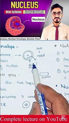 Nuclear Pores – Structure, Function & Role in Transport | Cell Biology Lecture
