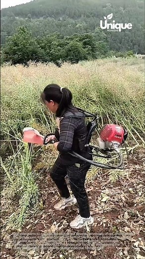 Harvesting crops: people harvesting crops