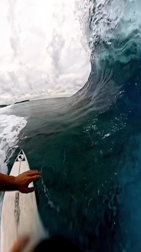 Dreaming🌊🪸 #surf #ocean #sea #nature #surfing #surfer #wave #corals #barrels #summer | Pamela R. Johnson