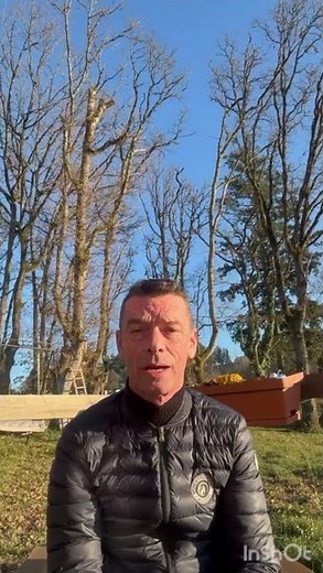 Améliorer la qualité du galop grâce au contre-galop | Exercice clé en équitation de travail