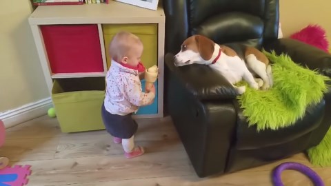 Baby Taking Care of Her Sick Beagle Dog | @Charlie The Beagle