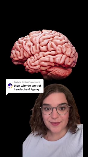 Headaches: Not Brain Aches, but What? 🤔