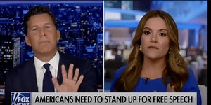 'You are confused': Democratic strategist spars with Fox News host over free speech rights