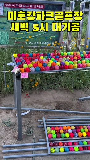 미호강파크골프장 대기상황 실시간 업데이트