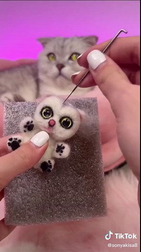 Sonya Cat Toy Unboxing and Playtime | Cat Lady Sonia