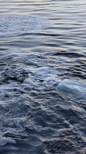 And this just happened ! Stocked the lake again ! | Sapulpa Parks