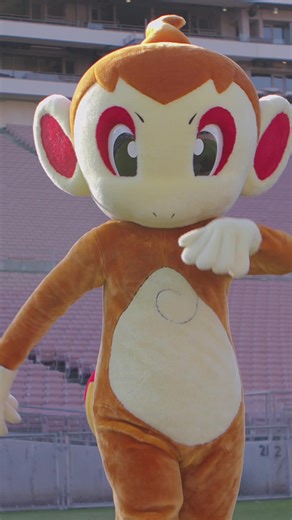 Chimchar, Piplup, and Turtwig have arrived to really turn up the Sinnoh-bration at #PokemonGOTour: Sinnoh – Los Angeles! #PokemonGO