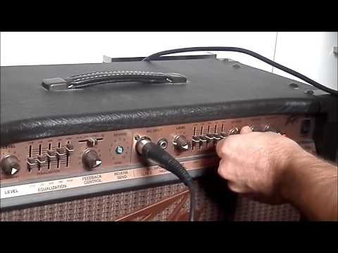 Peavey Ecoustic 112 Acoustic guitar amp: Demo and detailed tour