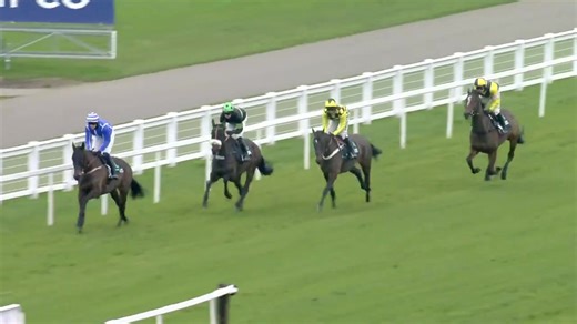 RIP Shishkin. A true legend of the track, who delivered two of his most iconic performances here at #Ascot. This battle with Energumene in the 2022 SBK Clarence House Chase was simply unforgettable. Our thoughts are with the whole Nicky Henderson team ❤️ | Ascot Racecourse