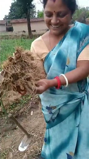 हम अपना बारी से लहसुन उखाड़ लिए 🌿 #shorts #minivlog #farming #sunitamahto