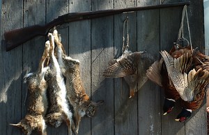 Small game hunting seasons are underway across Upstate NY
